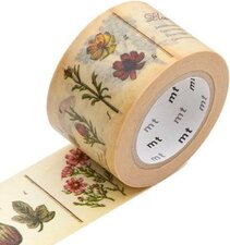 MT Masking tape encyclopedia plant