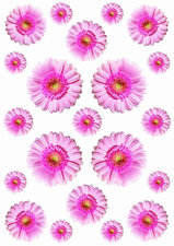 Autostickers gerbera roze