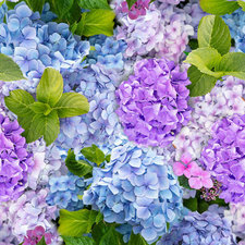 35x140cm Restje tafelzeil hortensia foto print