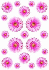 Fietsstickers Gerbera roze