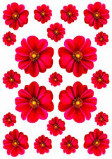 Fietsstickers Dahlia rood