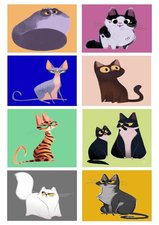 Fietsstickers katten multicolor
